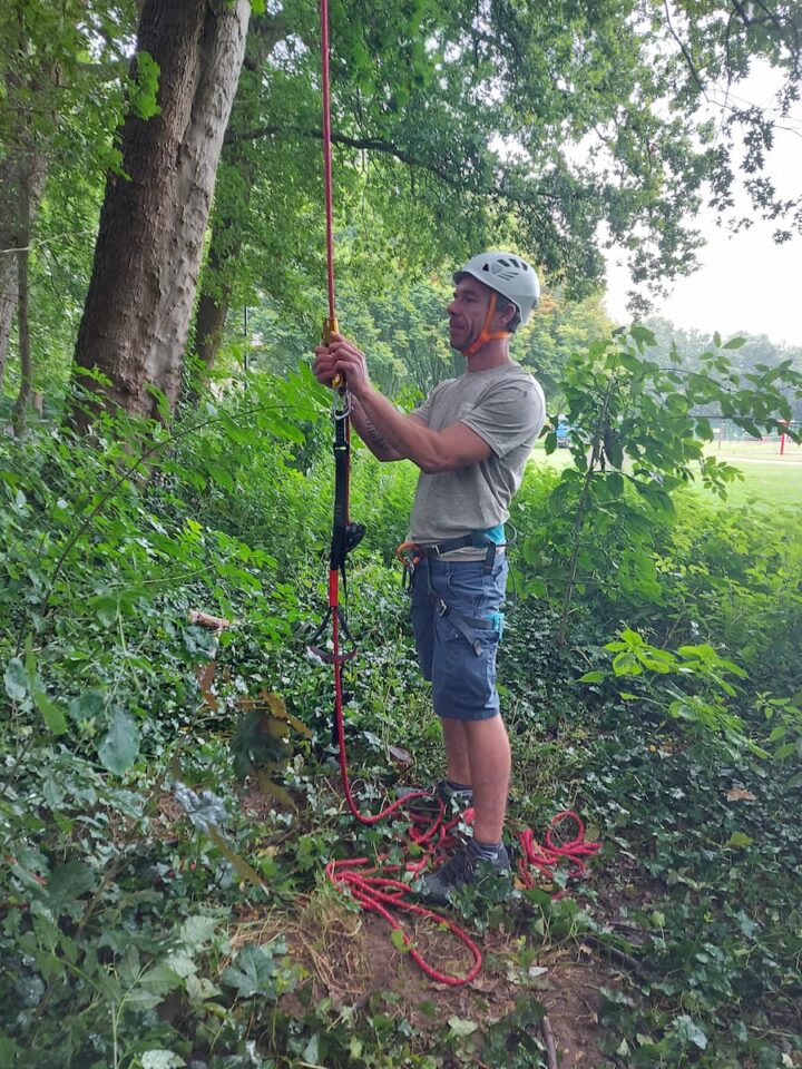 Boomklimmen